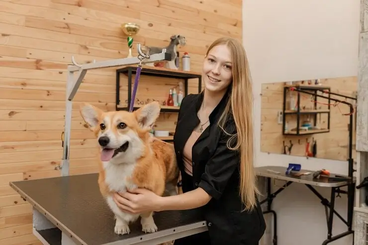 A smiling groomer scheduling a dog’s next grooming appointment while handing a client a booking card in a calm, upscale pet salon.
